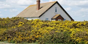 Obróbka komina domu za krzewami